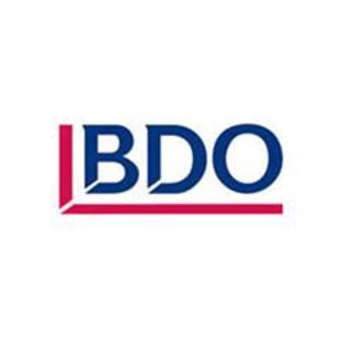 BDO Stoy Hayward 2008